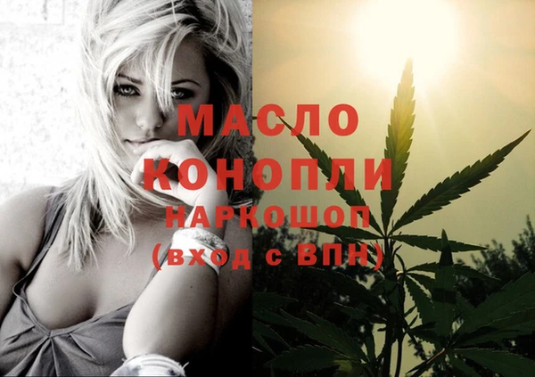 дживик Абинск