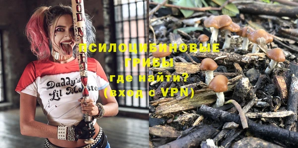 Альфа ПВП Алзамай