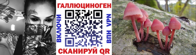 Псилоцибиновые грибы прущие грибы  KRAKEN   Ряжск  что такое  